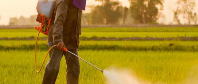 Agrochemicals Market 