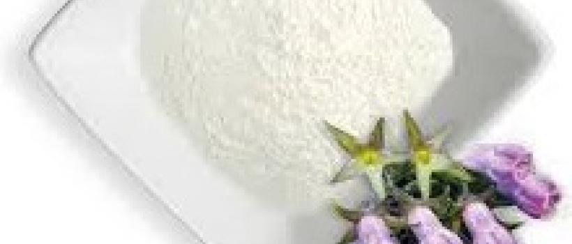 Allantoin Market