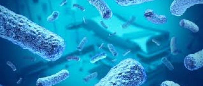Antimicrobial Coating Market Industry Report and Forecast 2019-2024