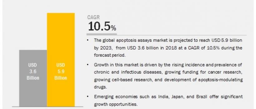  Apoptosis Assays Market
