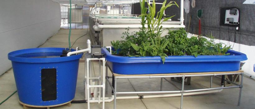 Aquaponics System Market