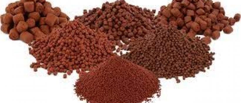 Aquatic Feed Market 2024