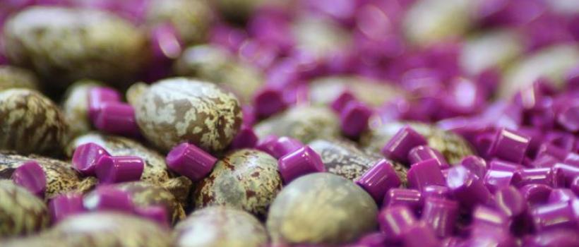 Bio-Polyamide Market Research Report, Upcoming Trends, Demand, Regional Analysis and Forecast 2024