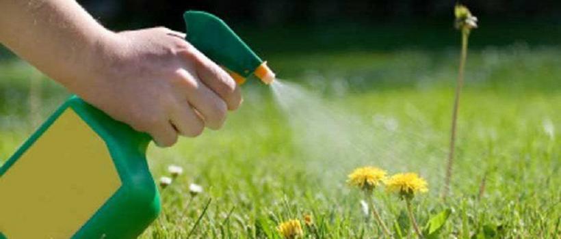 Bioherbicides Market