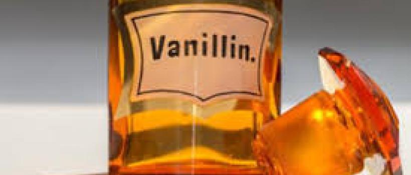 Bio Vanillin Market
