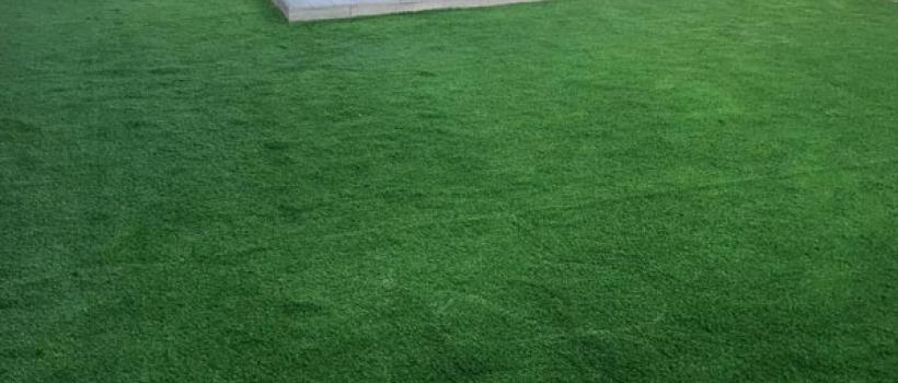 garden maintenance services