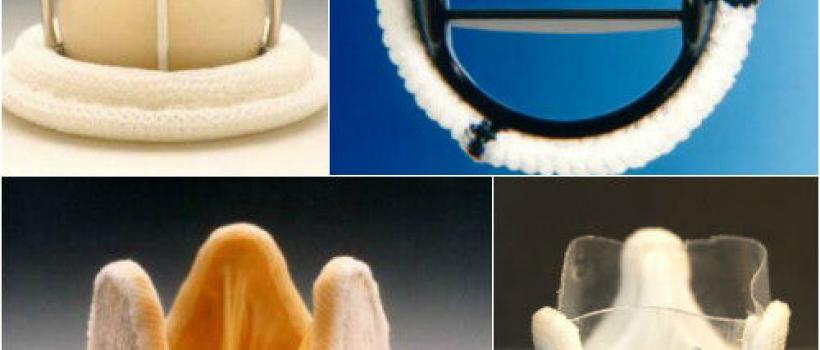 Cardiovascular Prosthetic Devices