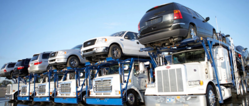  global Transport Management System Market 