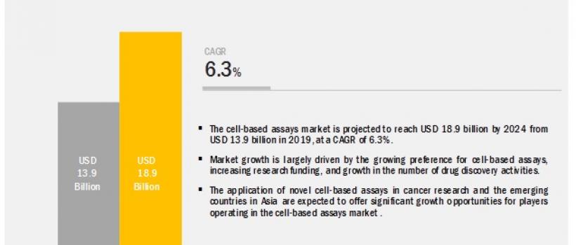 Cell based Assay Market 