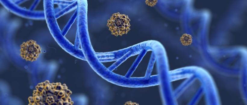 Cell and gene therapy