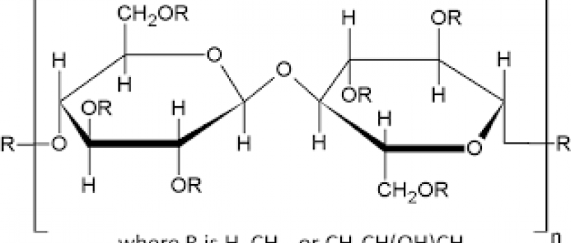 Hydroxypropyl Methylcellulose Market