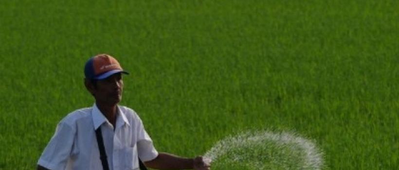 Coated Urea Industry 