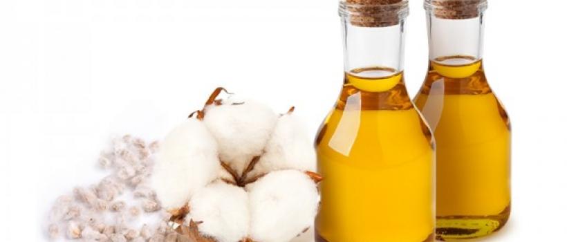 Hydrogenated Cottonseed Oil Market