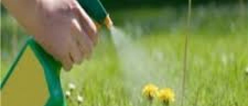 Crop Protection Chemicals Market