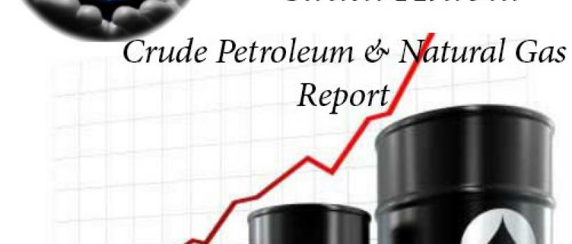Crude Petroleum and Natural Gas