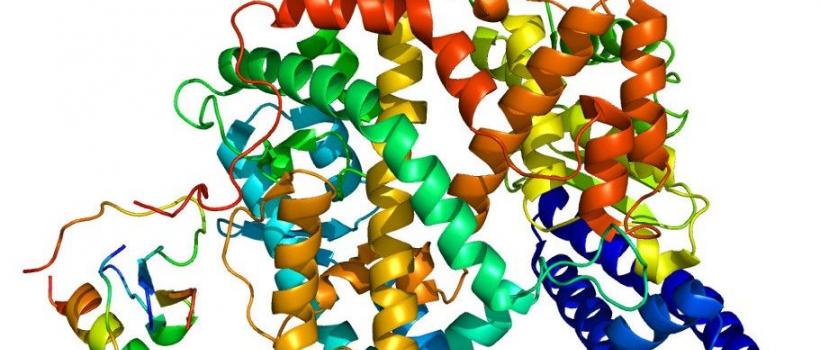 North America Detergent Grade Enzymes Market Report And Forecast 2019-2024