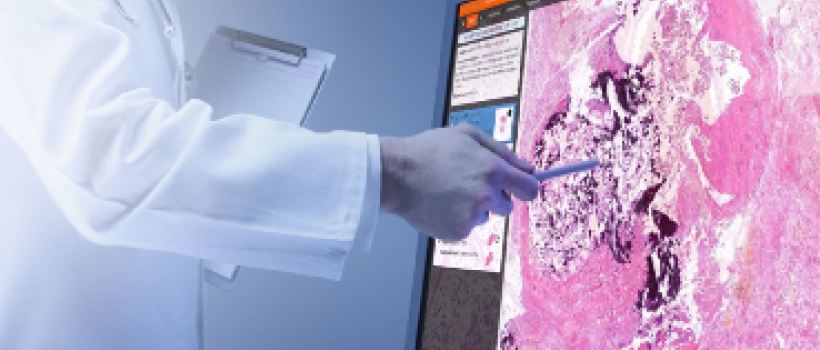 Digital Pathology Market