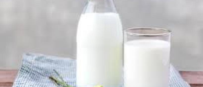 Latam Dairy Market Industry Trends, Report and Forecast 2019-2024