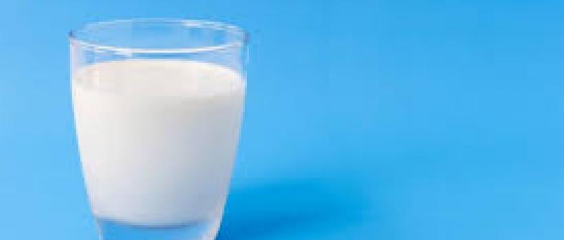 Dairy Market Size, Industry Report and Forecast 2019-2024