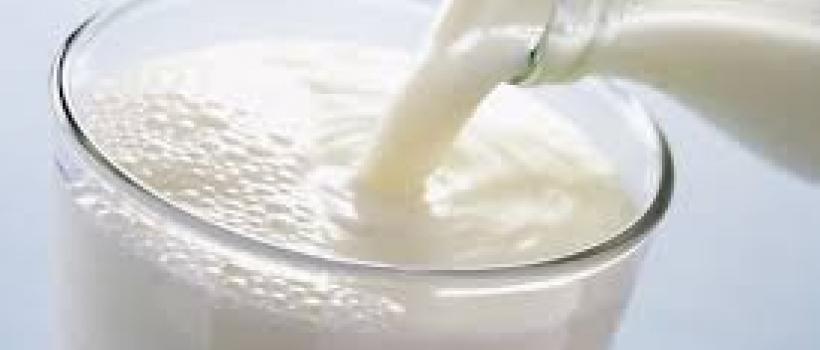 Europe Dairy Market Trends, Size, Share, Price, Industry, Forecast, Outlook & Report 2019-2024
