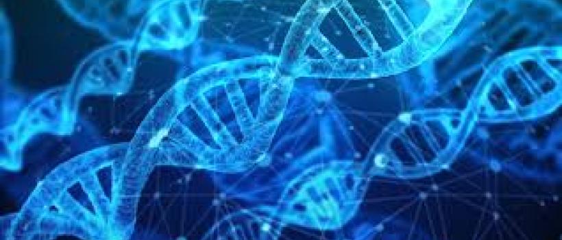 DNA Polymerase