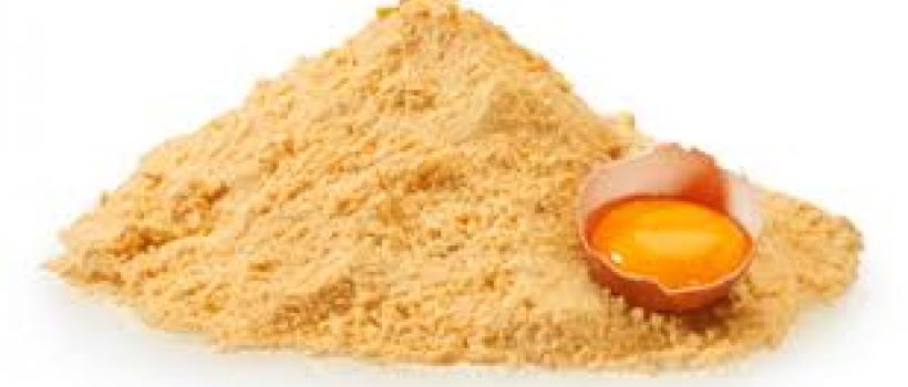 Egg Yolk Powder