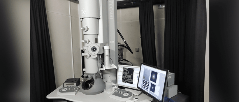 Global Electron Microscope 