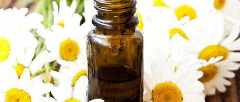 Chamomile Essential Oil market
