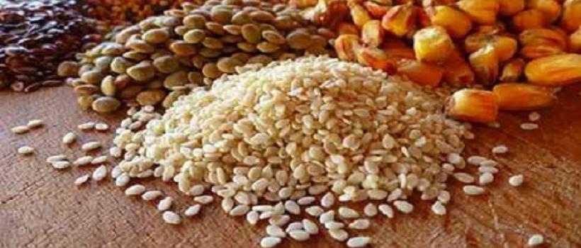 Eubiotics Market