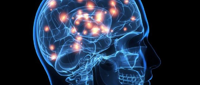 fNIRS Brain Imaging System Industry