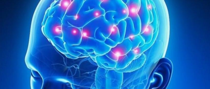 fNIRS Brain Imaging System, fNIRS Brain Imaging System Market, fNIRS Brain Imaging System Market Growth