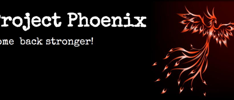 Project Phoenix Emotional Intelligence Training