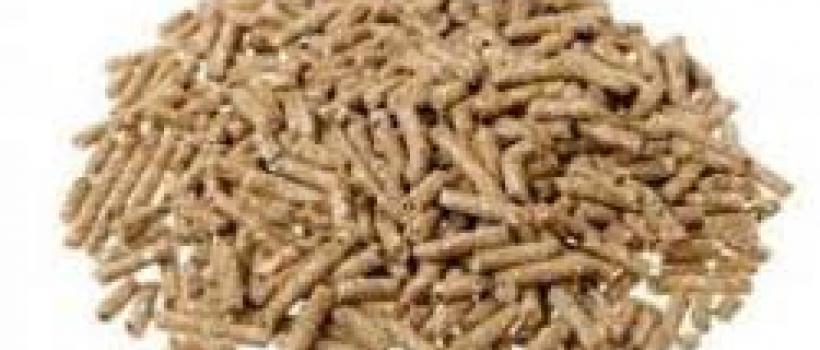 Feed Binders Market