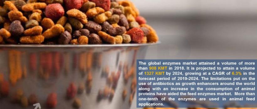 Feed Enzymes Market Share,Size, Report & Forecast 2019-2024