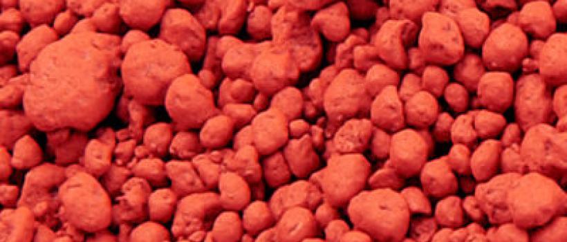 Feed Pigment Market 2020-2025