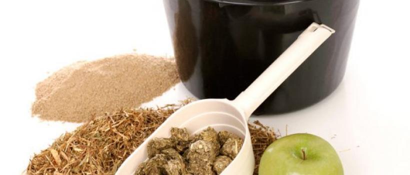Feed Vitamin Market