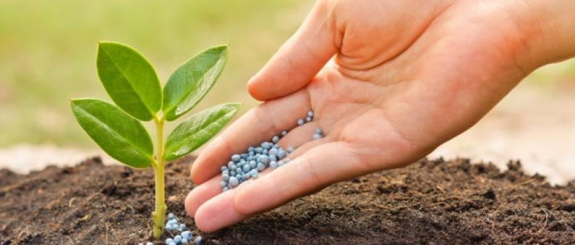 Fertilizer Additives Market
