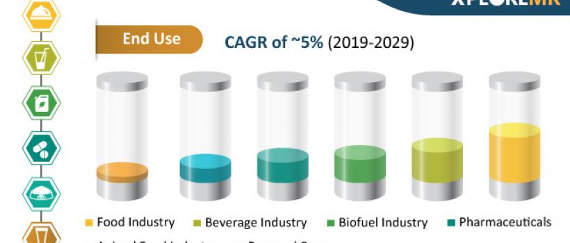 Galactose Market