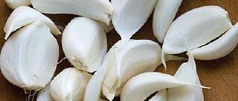 Garlic Seeds Market