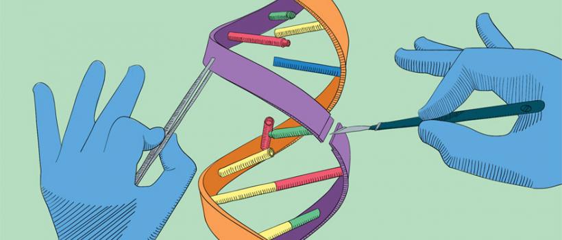 Gene Editing Market 