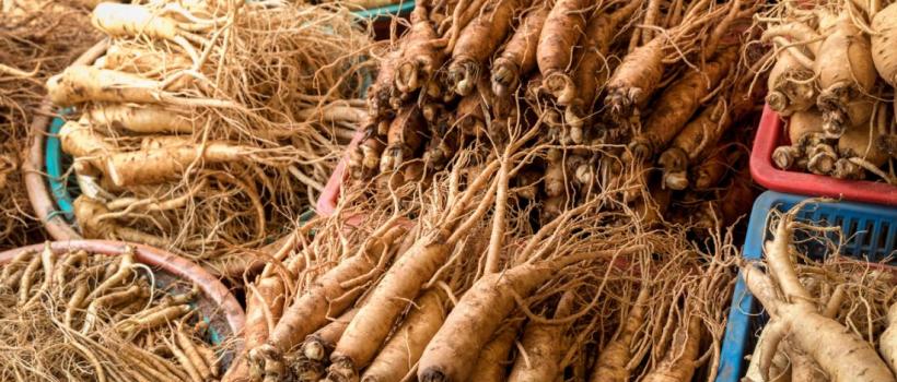 Ginseng Market