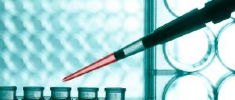 Global Liquid Biopsy Market