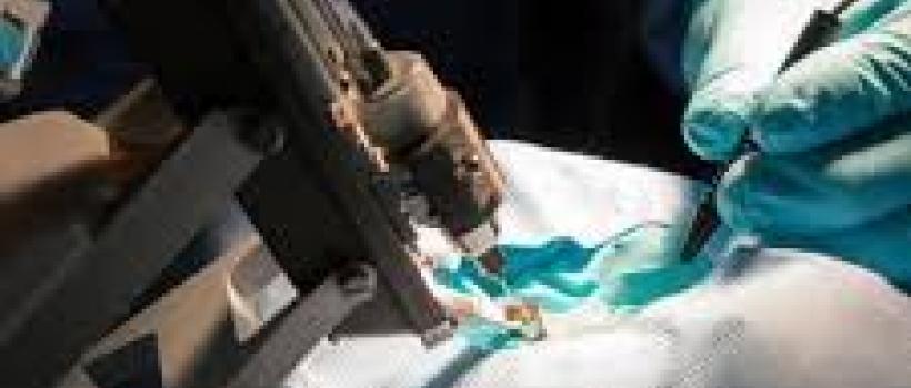 Global Medical Robots Market
