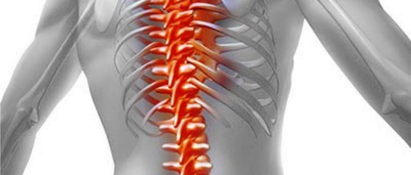 Global Nerve Repair and Regeneration Market