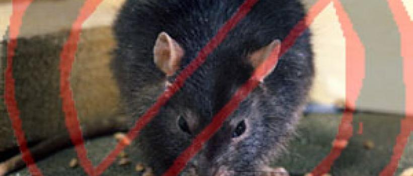 Global Rodenticides Market