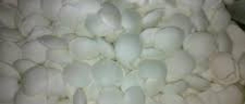 Global Sodium Cyanide Market