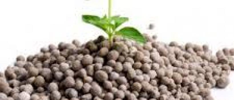 Global Soluble Fertilizer Market
