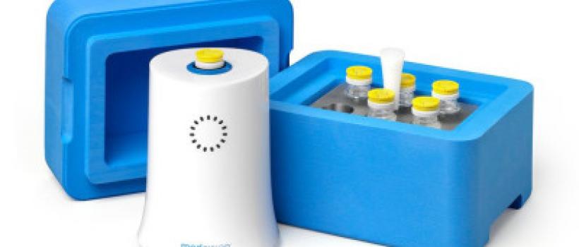 Global Thawing System Market