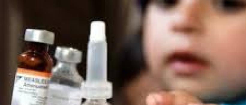 Global Vaccine Adjuvants Market