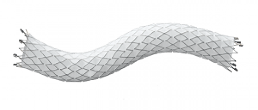 Global Vascular Stent Market